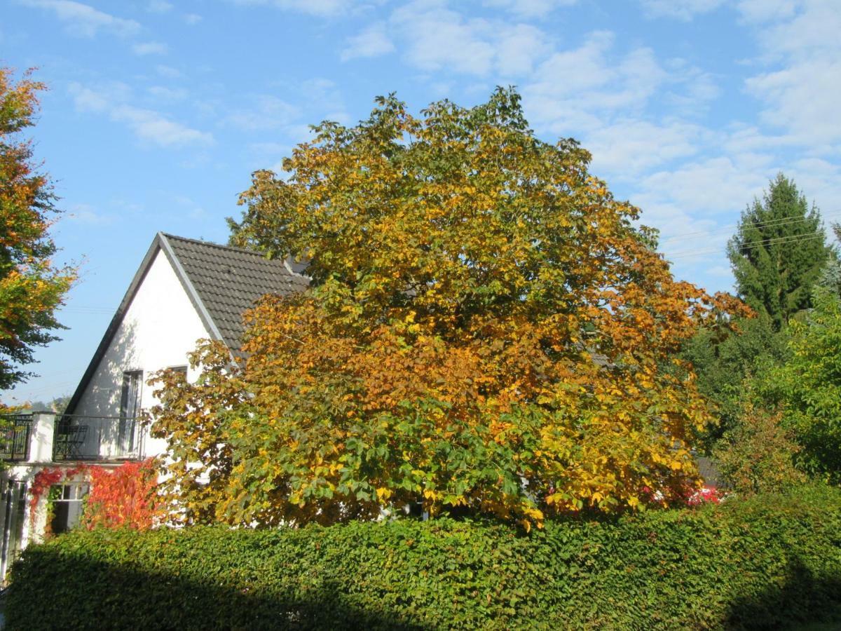 Eifel Gaestewohnung Blankenheim  Exterior photo